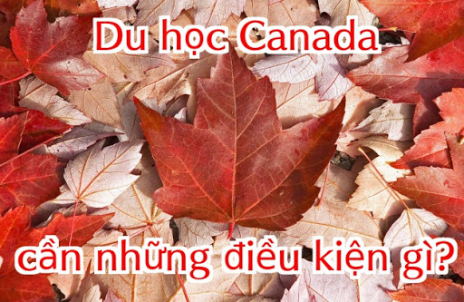 Tổng hợp điều kiện du học Canada mới nhất